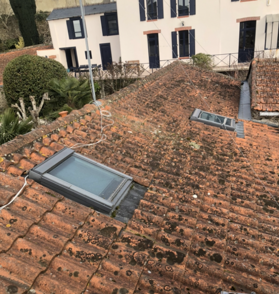 Toiture en tuiles canal envahie de mousse autour de deux fenêtres de toit